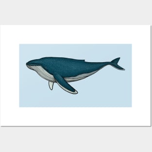 Whale Posters and Art